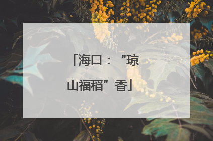 海口：“琼山福稻”香