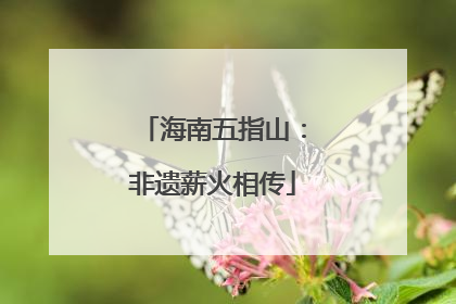 海南五指山：非遗薪火相传