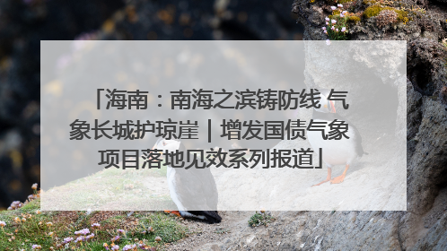 海南：南海之滨铸防线 气象长城护琼崖｜增发国债气象项目落地见效系列报道