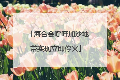 海合会呼吁加沙地带实现立即停火