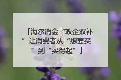 海尔消金“政企双补”让消费者从“想要买”到“买得起”