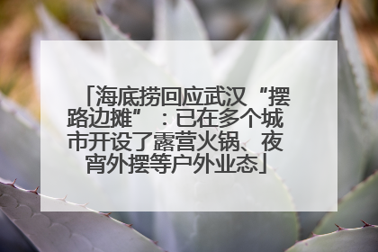 海底捞回应武汉“摆路边摊”：已在多个城市开设了露营火锅、夜宵外摆等户外业态