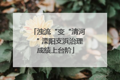 浊流“变“清河“ 溧阳支浜治理成绩上台阶