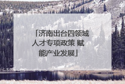 济南出台四领域人才专项政策 赋能产业发展