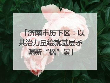 济南市历下区：以共治力量绘就基层矛调新“枫”景
