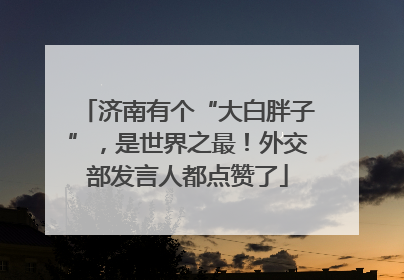 济南有个“大白胖子”，是世界之最！外交部发言人都点赞了