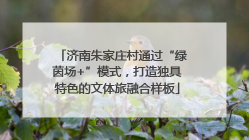 济南朱家庄村通过“绿茵场+”模式，打造独具特色的文体旅融合样板