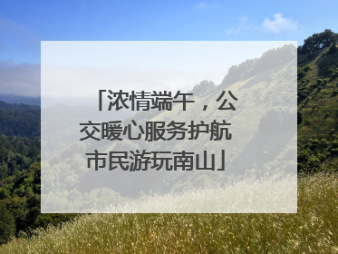 浓情端午，公交暖心服务护航市民游玩南山