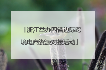 浙江举办四省边际跨境电商资源对接活动