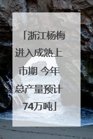 浙江杨梅进入成熟上市期 今年总产量预计74万吨