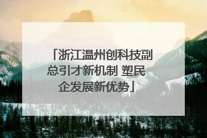 浙江温州创科技副总引才新机制 塑民企发展新优势