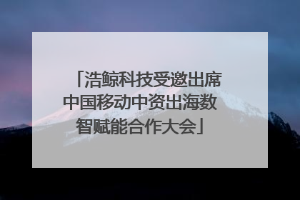 浩鲸科技受邀出席中国移动中资出海数智赋能合作大会