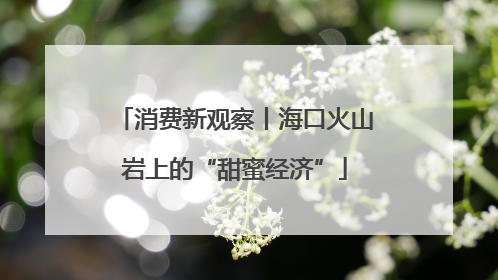 消费新观察丨海口火山岩上的“甜蜜经济”