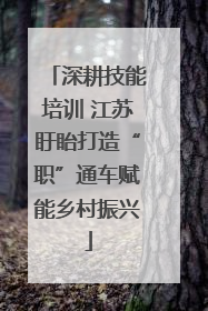 深耕技能培训 江苏盱眙打造“职”通车赋能乡村振兴