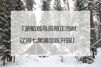 游船观鸟赏荷正当时 辽河七星湖景区开园