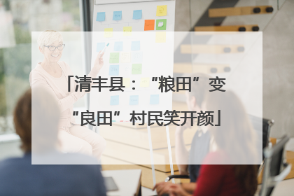 清丰县：“粮田”变“良田”村民笑开颜