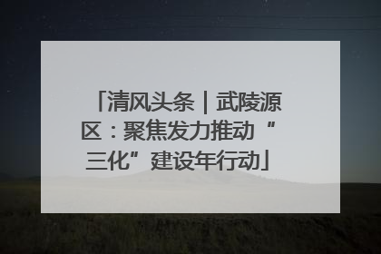 清风头条｜武陵源区：聚焦发力推动“三化”建设年行动