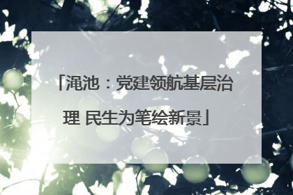 渑池：党建领航基层治理 民生为笔绘新景