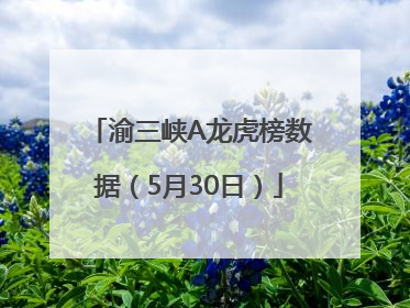 渝三峡A龙虎榜数据（5月30日）