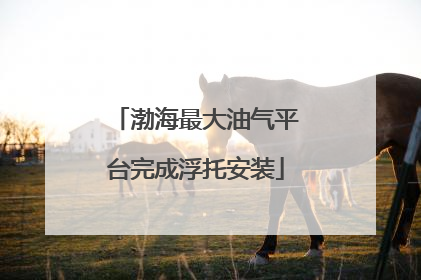 渤海最大油气平台完成浮托安装
