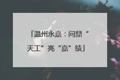 温州永嘉：问鼎“天工”亮“嘉”绩