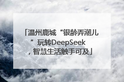 温州鹿城“银龄弄潮儿”玩转DeepSeek，智慧生活触手可及