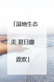 湿地生态美 夏日麋鹿欢
