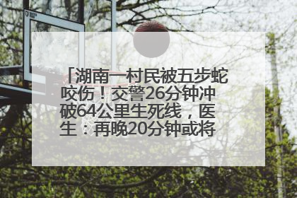湖南一村民被五步蛇咬伤！交警26分钟冲破64公里生死线，医生：再晚20分钟或将呼吸肌麻痹