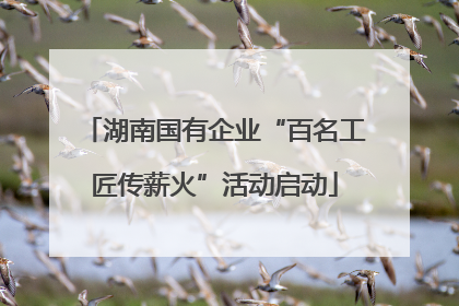 湖南国有企业“百名工匠传薪火”活动启动