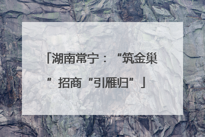 湖南常宁：“筑金巢”招商“引雁归”
