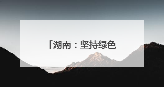 湖南：坚持绿色低碳发展 构建现代化产业体系