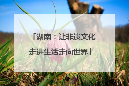 湖南：让非遗文化走进生活走向世界
