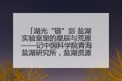 湖光“链”影 盐湖实验室里的星辰与荒原——记中国科学院青海盐湖研究所，盐湖资源化学实验室党总支书记、副主任刘忠