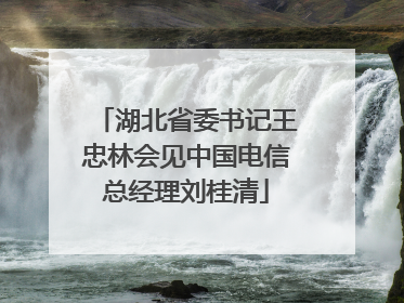 湖北省委书记王忠林会见中国电信总经理刘桂清