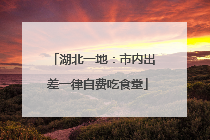 湖北一地：市内出差一律自费吃食堂