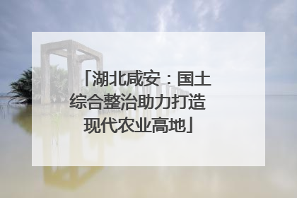 湖北咸安：国土综合整治助力打造现代农业高地