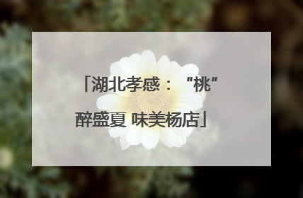 湖北孝感：“桃”醉盛夏 味美杨店
