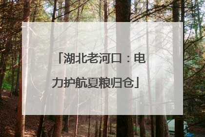 湖北老河口：电力护航夏粮归仓