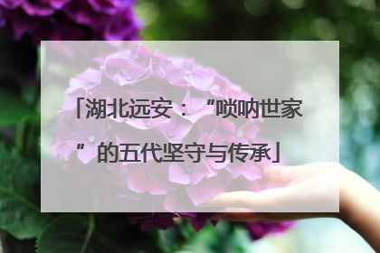 湖北远安：“唢呐世家”的五代坚守与传承