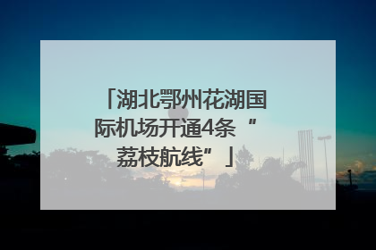 湖北鄂州花湖国际机场开通4条“荔枝航线”