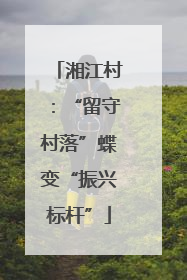 湘江村：“留守村落”蝶变“振兴标杆”
