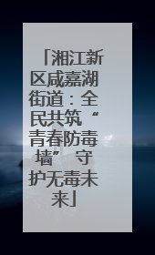 湘江新区咸嘉湖街道：全民共筑“青春防毒墙” 守护无毒未来