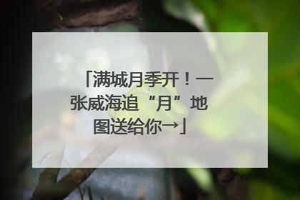 满城月季开！一张威海追“月”地图送给你→