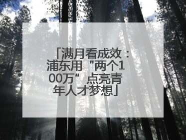 满月看成效：浦东用“两个100万”点亮青年人才梦想