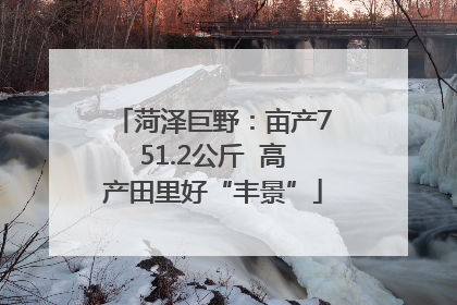 菏泽巨野：亩产751.2公斤  高产田里好“丰景”