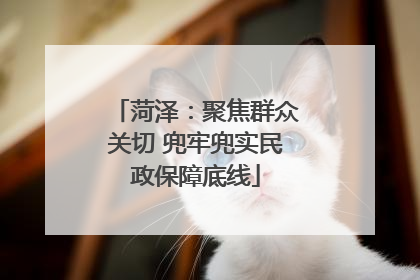 菏泽：聚焦群众关切 兜牢兜实民政保障底线