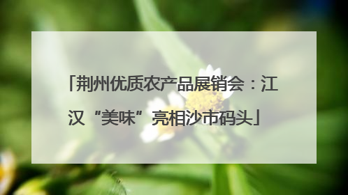 荆州优质农产品展销会：江汉“美味”亮相沙市码头