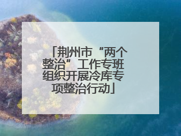 荆州市“两个整治”工作专班组织开展冷库专项整治行动