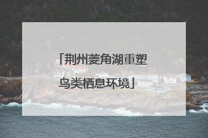 荆州菱角湖重塑鸟类栖息环境