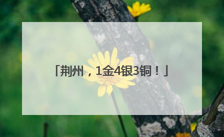 荆州，1金4银3铜！